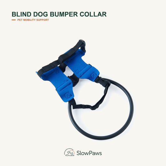 Blind Dog Bumper Collar by SlowPaws image 1
