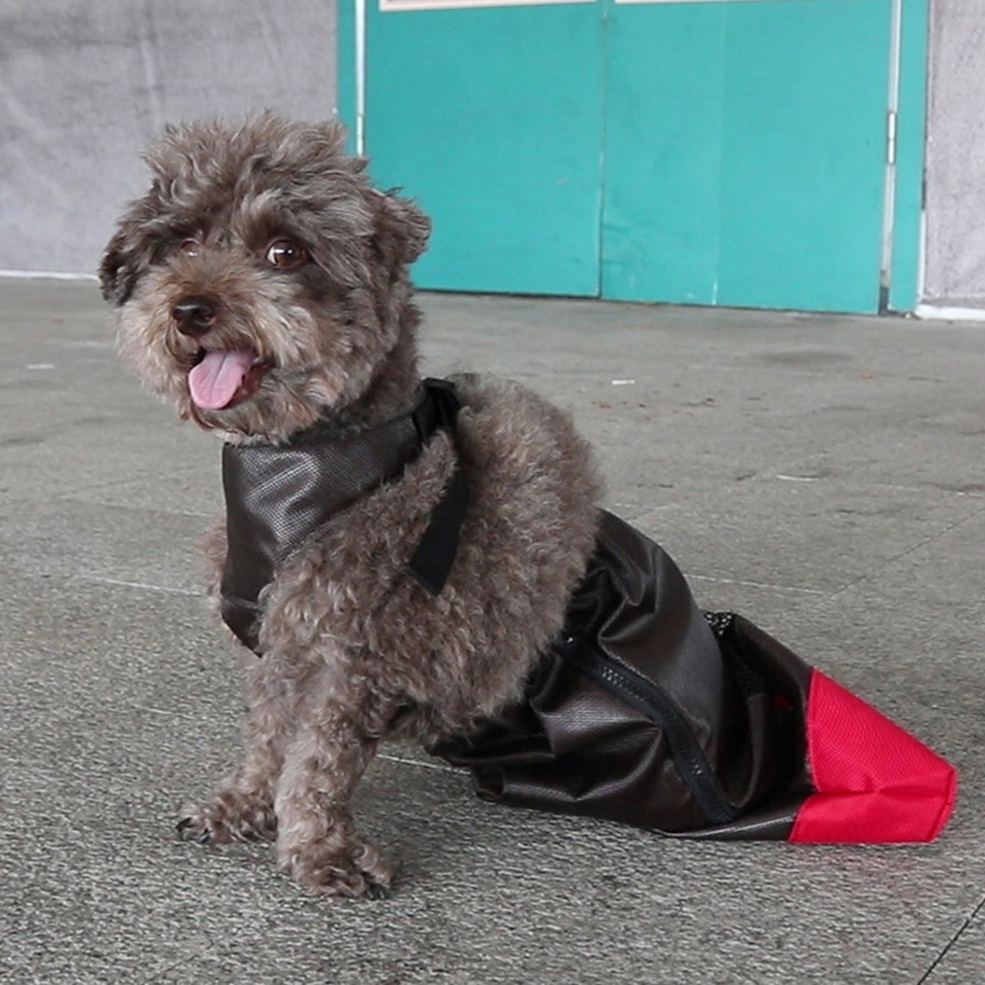 Dog Walking Support Sling Harness by SlowPaws image 6