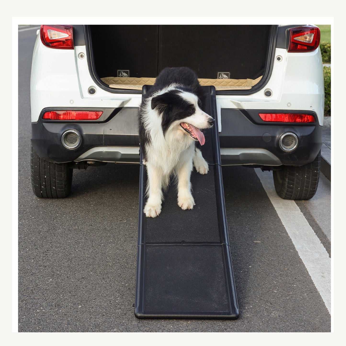 Folding Dog Car Ramp for Large Dogs by SlowPaws image 2