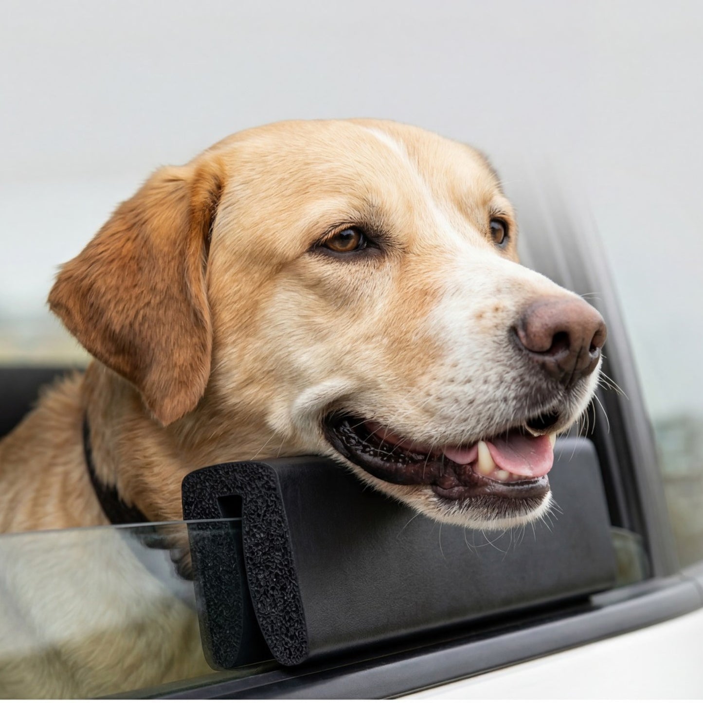 Dog Car Window Chin Rest Cushion by SlowPaws image 3