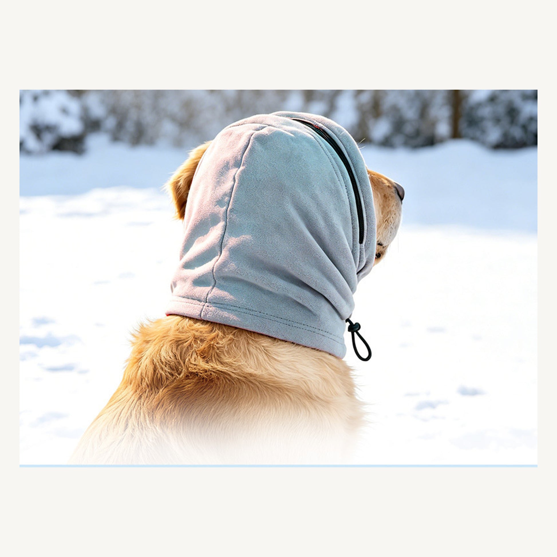 Dog Calming Hood Snood for Grooming by SlowPaws image 2