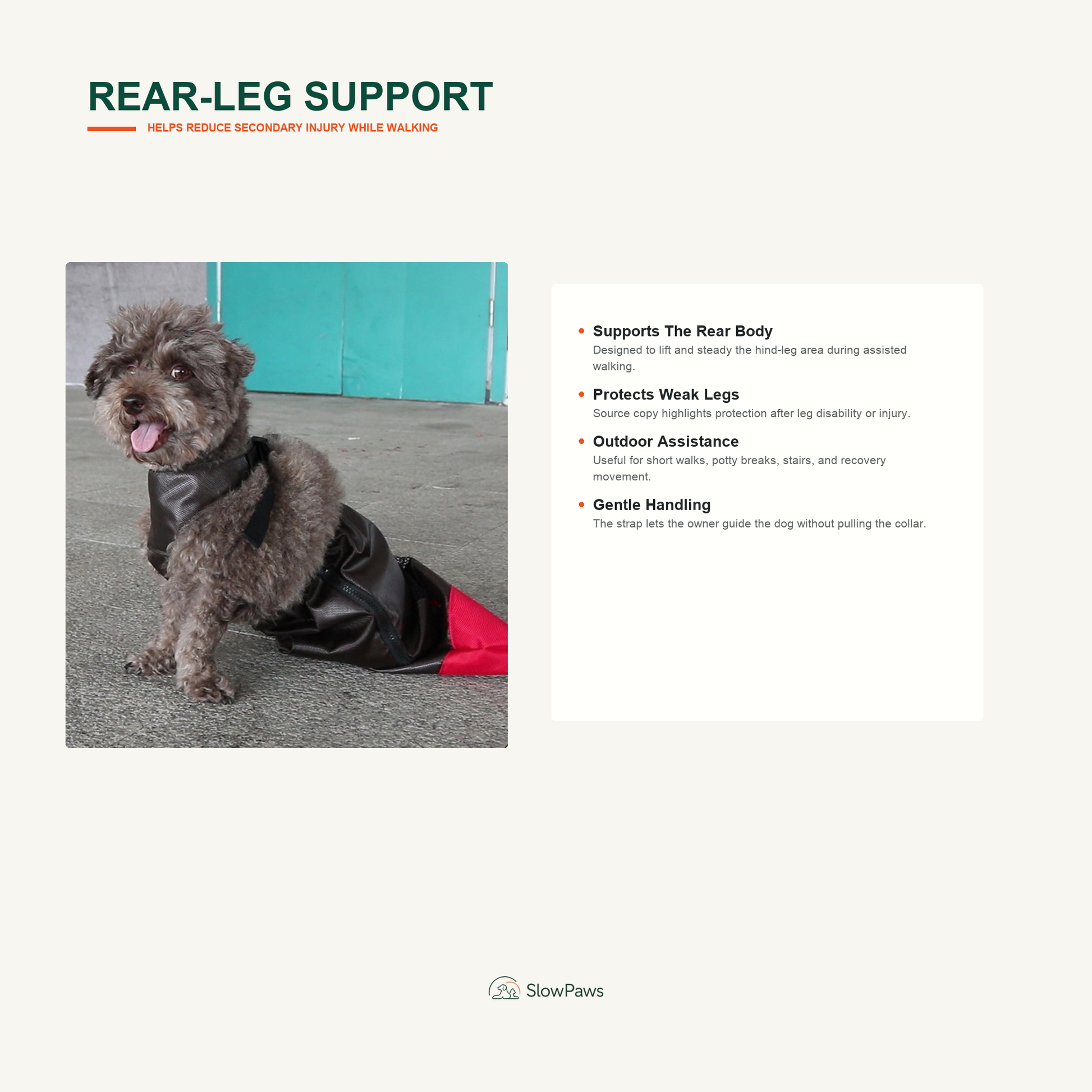 Dog Walking Support Sling Harness by SlowPaws image 7