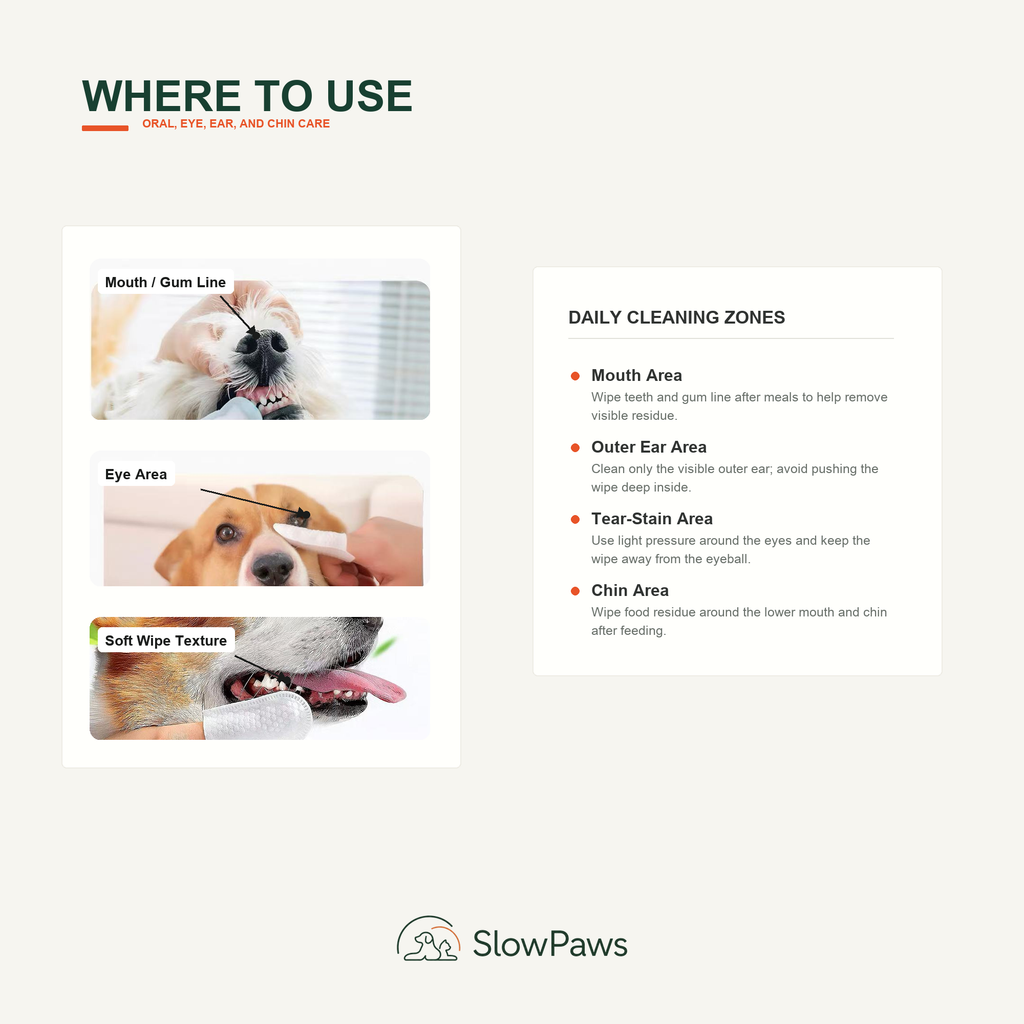Disposable Pet Finger Toothbrush use guide for teeth, eye area, tear stains, and mouth edges