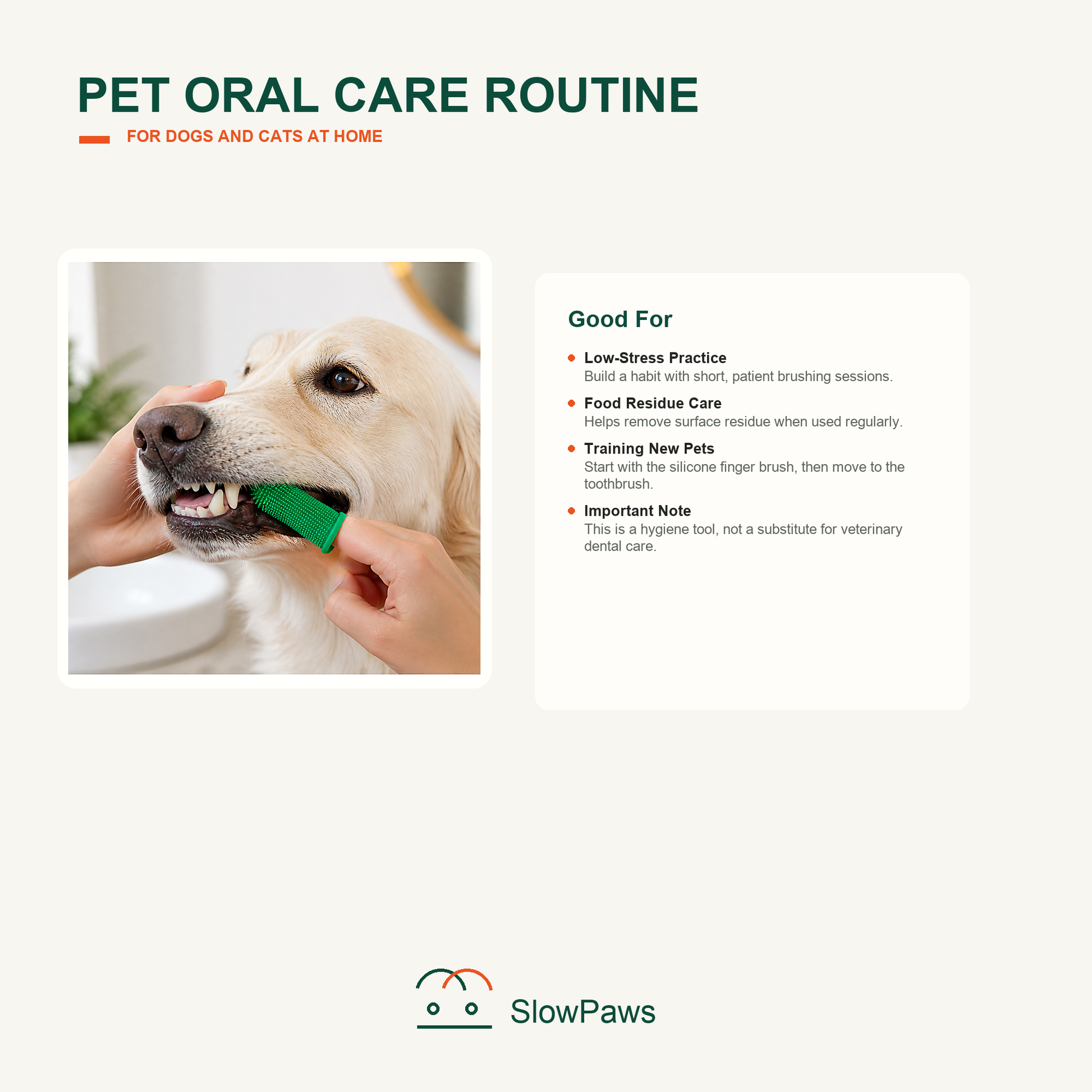 Pet Toothbrush Kit for Dogs and Cats by SlowPaws image 6