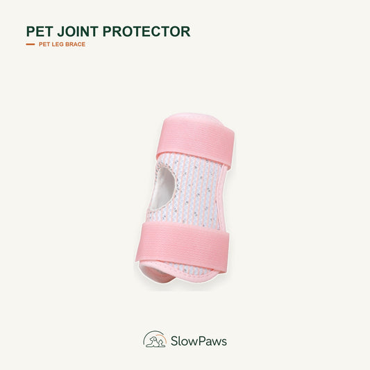Pet Joint Protector by SlowPaws image 1