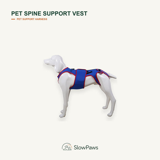 Pet Spine Support Vest by SlowPaws image 1