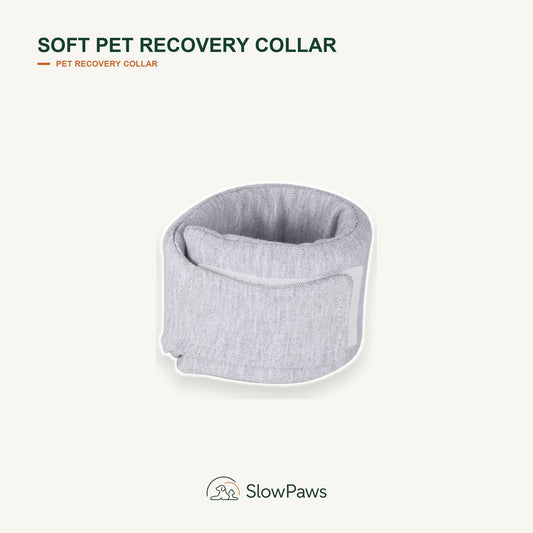 Soft Pet Recovery Collar by SlowPaws image 1